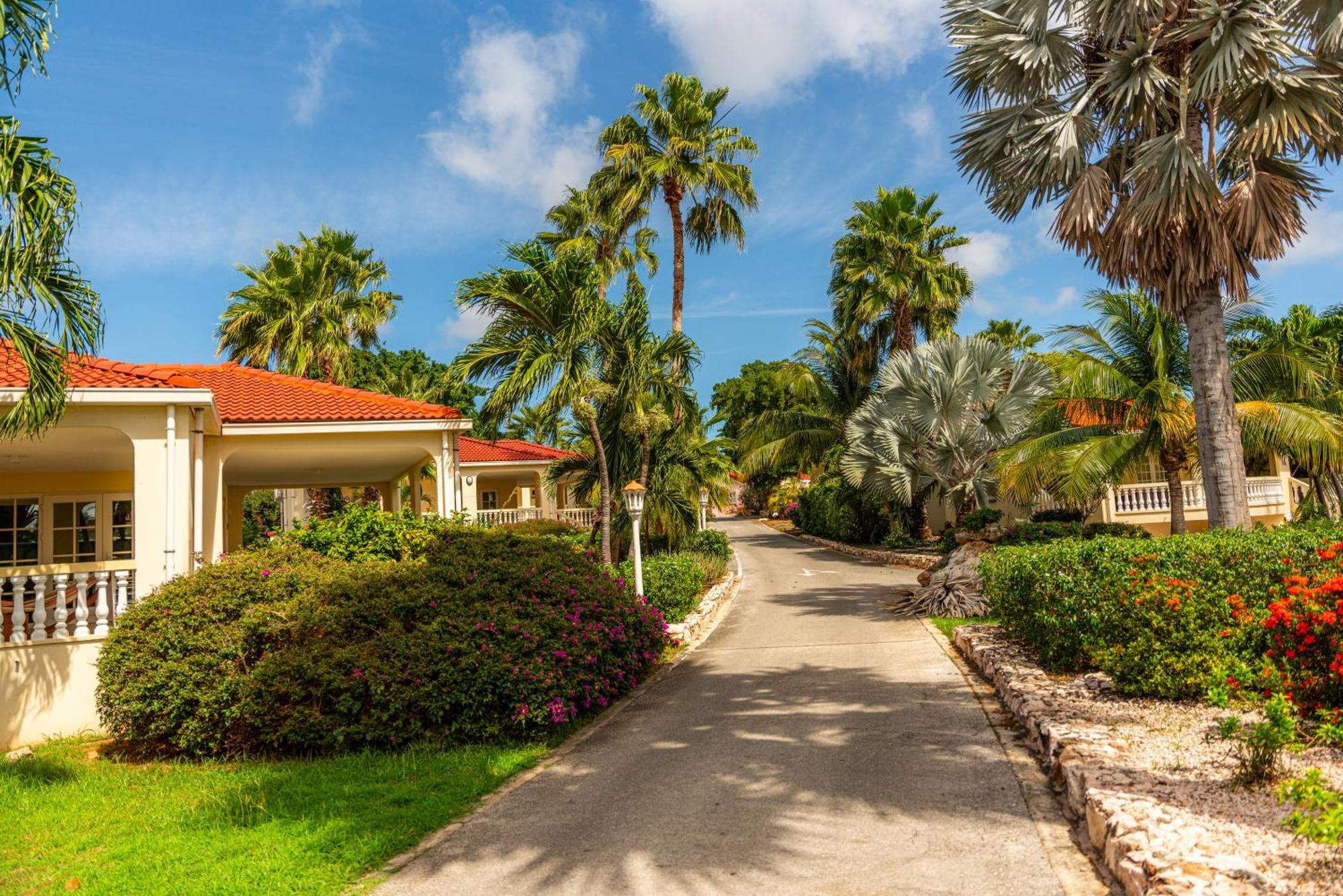 Livingstone Jan Thiel Resort Willemstad Zewnętrze zdjęcie